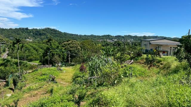 新竹峨眉農地_山坡地_休閒地-10