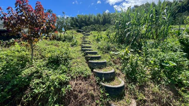 新竹峨眉農地_山坡地_休閒地-13