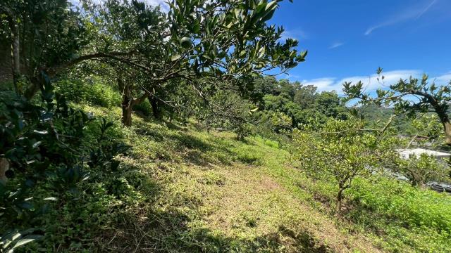 新竹峨眉農地_山坡地_休閒地-5
