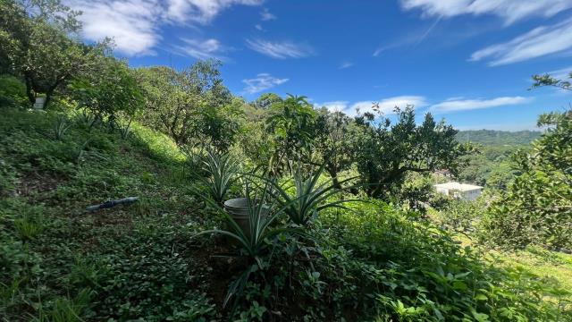 新竹峨眉農地_山坡地_休閒地-6