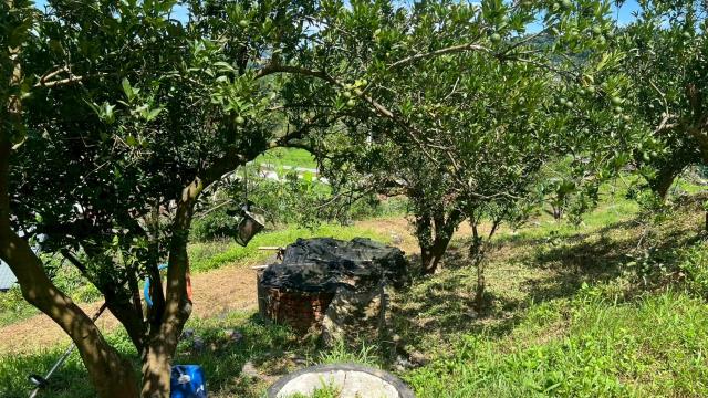 新竹峨眉農地_山坡地_休閒地-8