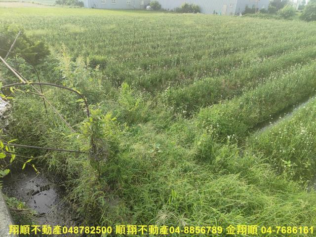彰化溪湖農地-8