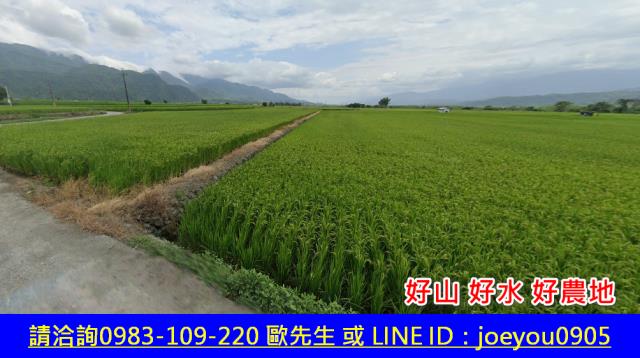 花蓮玉里農地法拍-10
