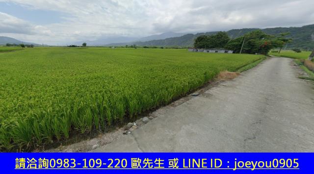 花蓮玉里農地法拍-11