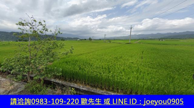 花蓮玉里拍賣農地-4