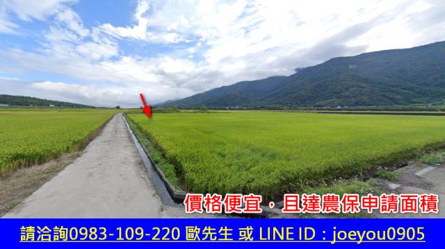花蓮富里法拍農地-10