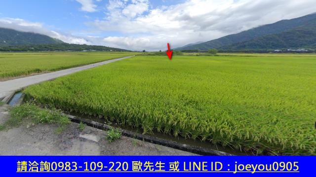 花蓮富里法拍農地-4