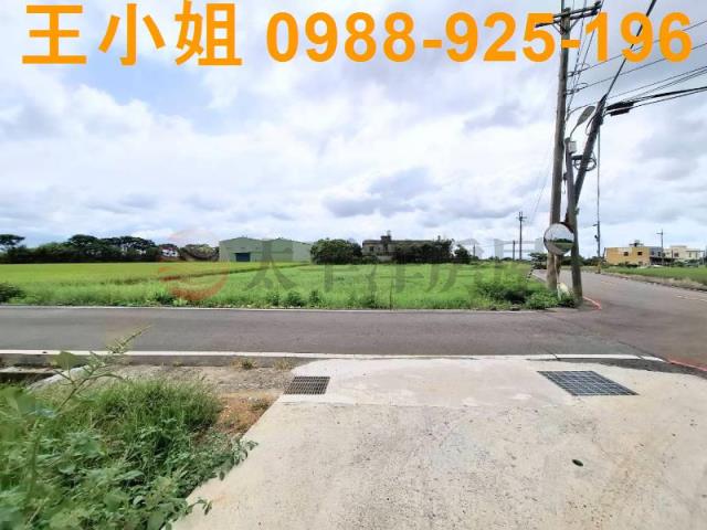 桃園觀音農地-7