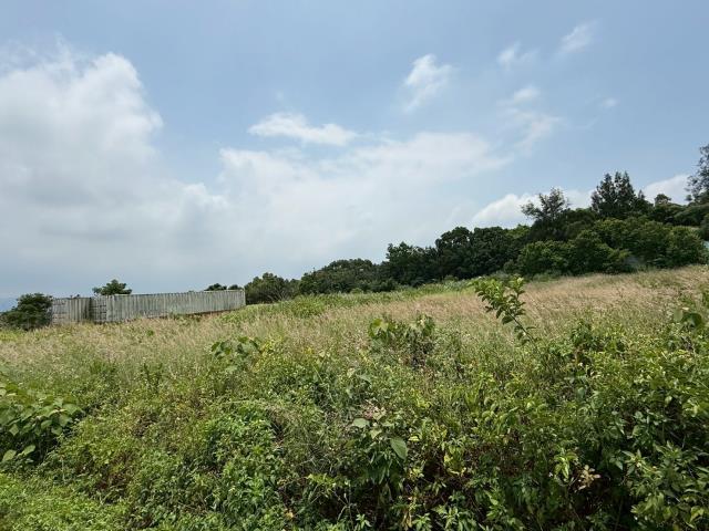 苗栗建地_山坡地_丙種建築用地-10