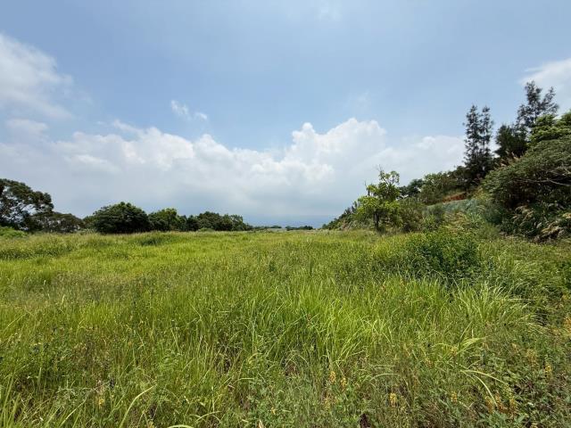 苗栗建地_山坡地_丙種建築用地-9