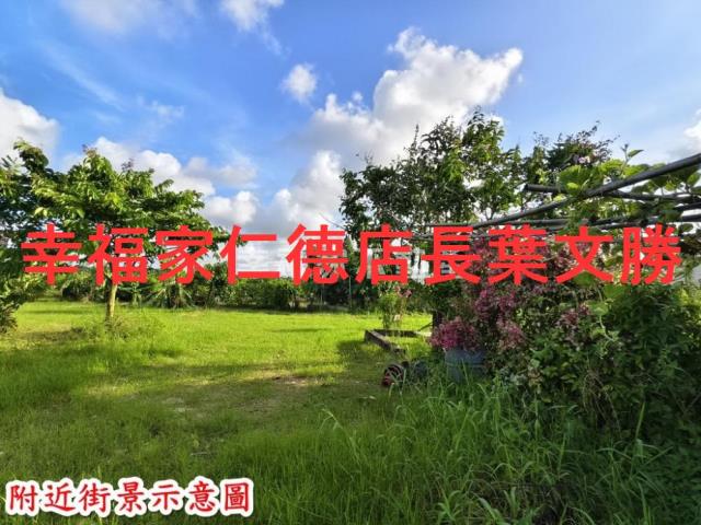 歸仁農地-8