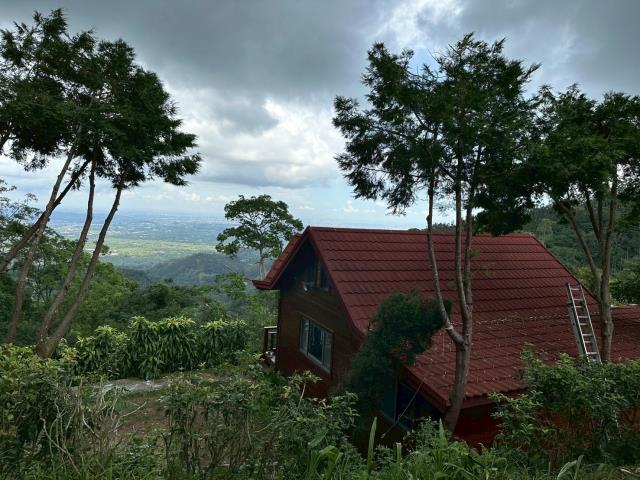 嘉義番路山坡地_林地-12