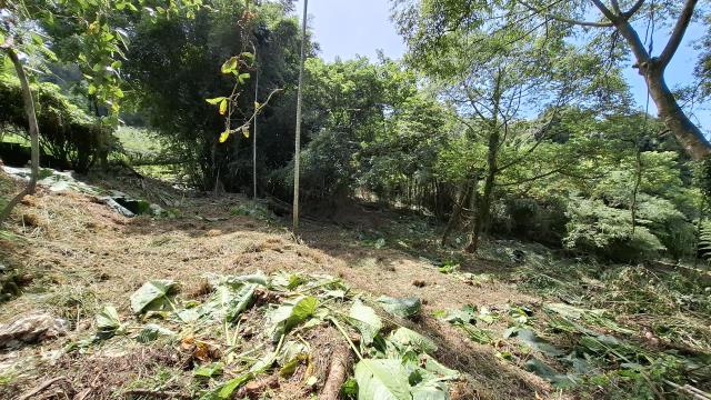 台中東勢農地_山坡地_休閒地-11