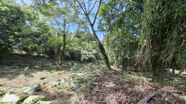 台中東勢農地_山坡地_休閒地-13