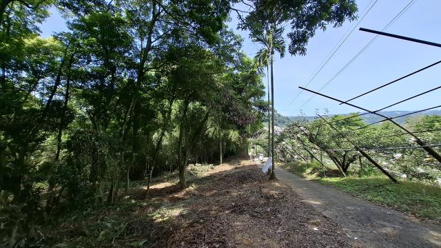 台中東勢農地_山坡地_休閒地-14
