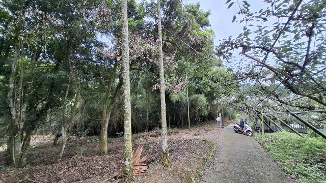 台中東勢農地_山坡地_休閒地-3