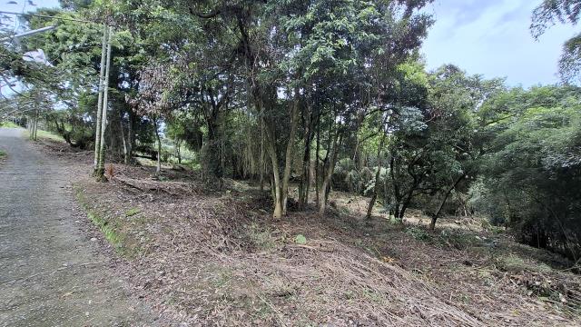 台中東勢農地_山坡地_休閒地-6