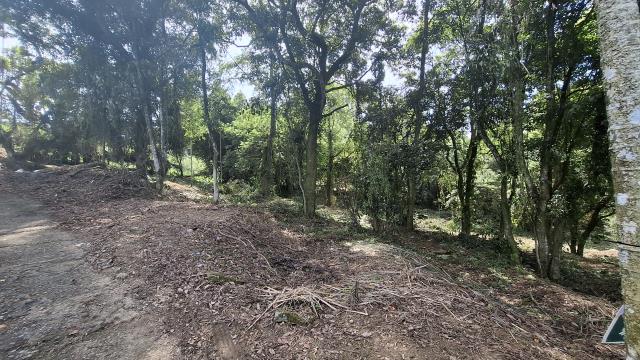 台中東勢農地_山坡地_休閒地-7