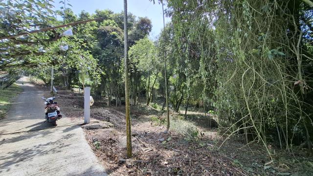 台中東勢農地_山坡地_休閒地-8