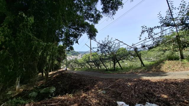 台中東勢農地_山坡地_休閒地-9