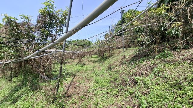 台中東勢農地_山坡地_休閒地-10