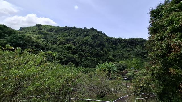 台中東勢農地_山坡地_休閒地-11