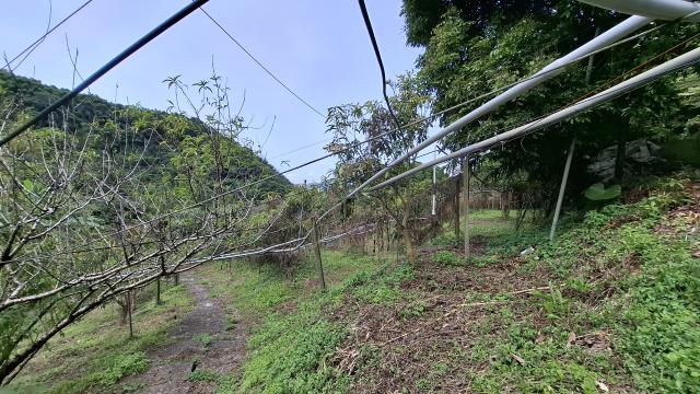 台中東勢農地_山坡地_休閒地-2