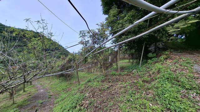 台中東勢農地_山坡地_休閒地-3