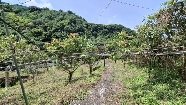 台中東勢農地_山坡地_休閒地-9