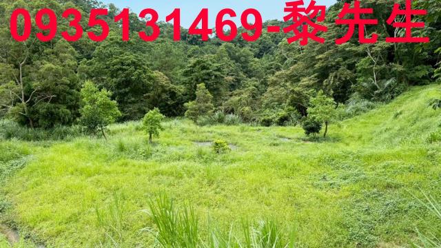 苗栗南庄農地_林地-11