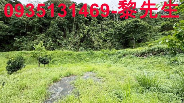 苗栗南庄農地_林地-1