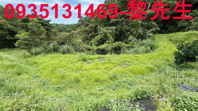 苗栗南庄農地_林地-14
