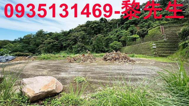 苗栗南庄農地_林地-2