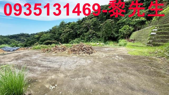 苗栗南庄農地_林地-3
