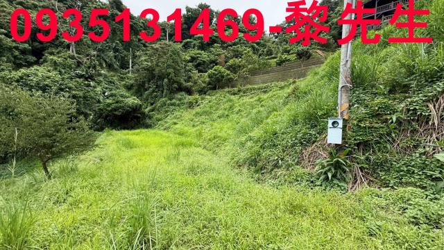 苗栗南庄農地_林地-8