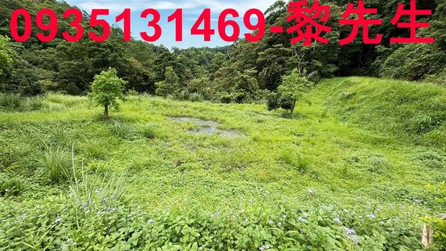 苗栗南庄農地_林地-9