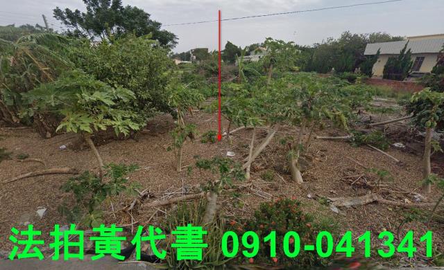 麥寮建地拍賣-9
