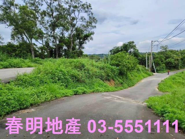 新竹峨眉農地_林地-1