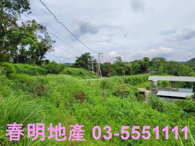 新竹峨眉農地_林地-2