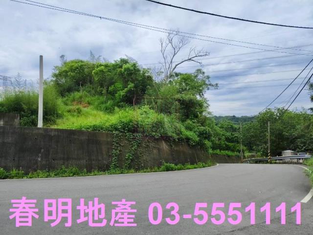 新竹峨眉農地_林地-6