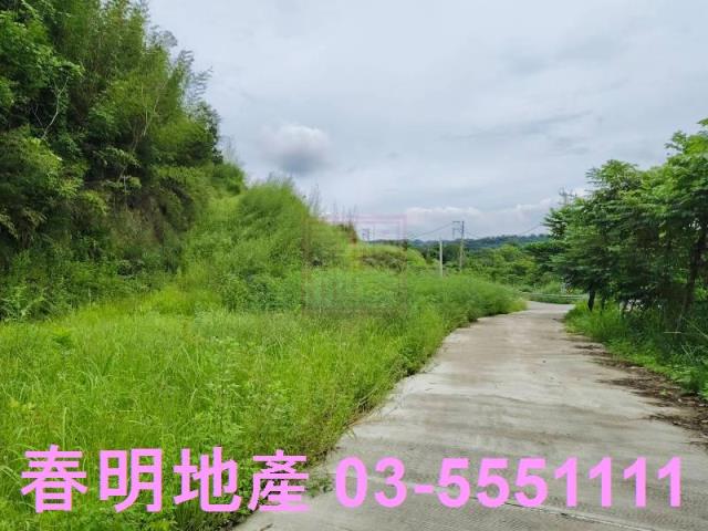 新竹峨眉農地_林地-8