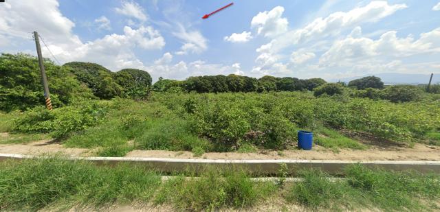 台南柳營法拍農地-12