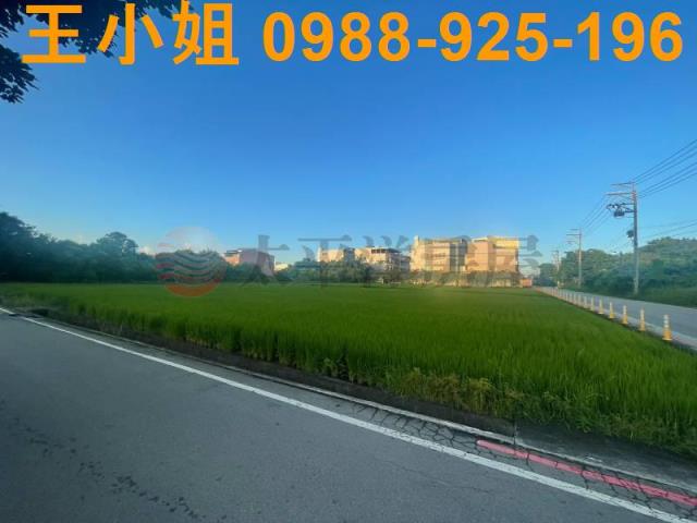 桃園中壢農地-12