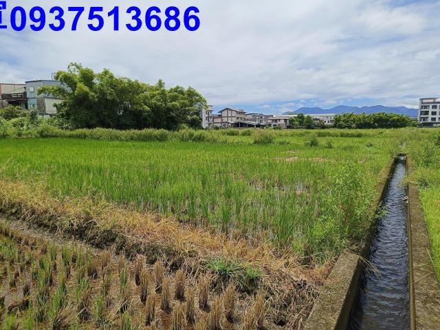 宜蘭市農地-9