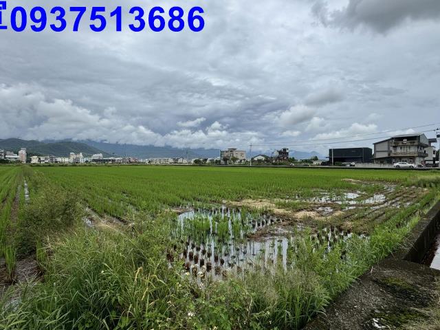 員山農地-7