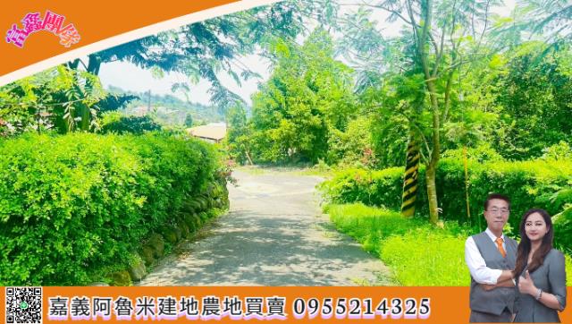台南農地_建地_農建地-5