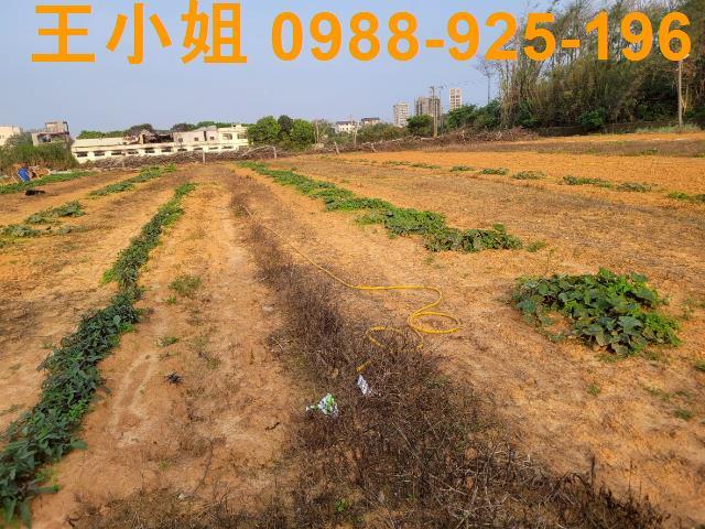 桃園中壢農地-5