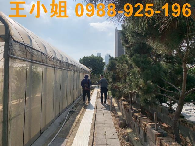 桃園中壢農地-9