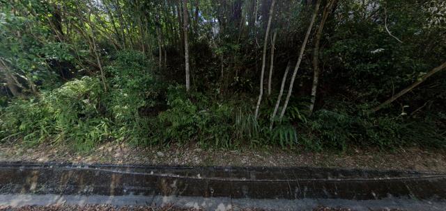 宜蘭大同拍賣農地_山坡地_原住民保留地-9