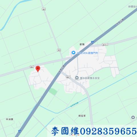 台南鹽水法拍建地-3